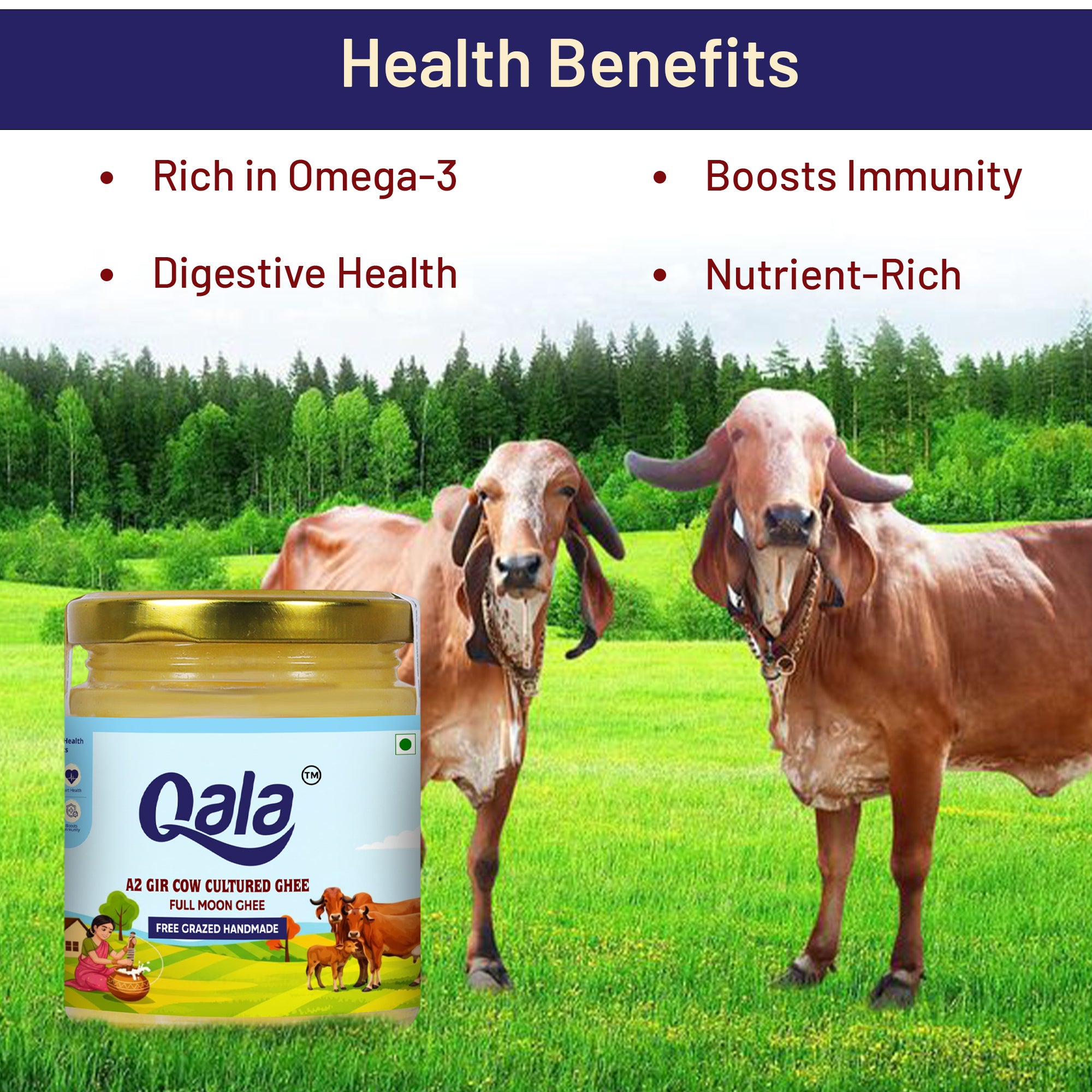 A2 Gir Cow Cultured Ghee 150 ml