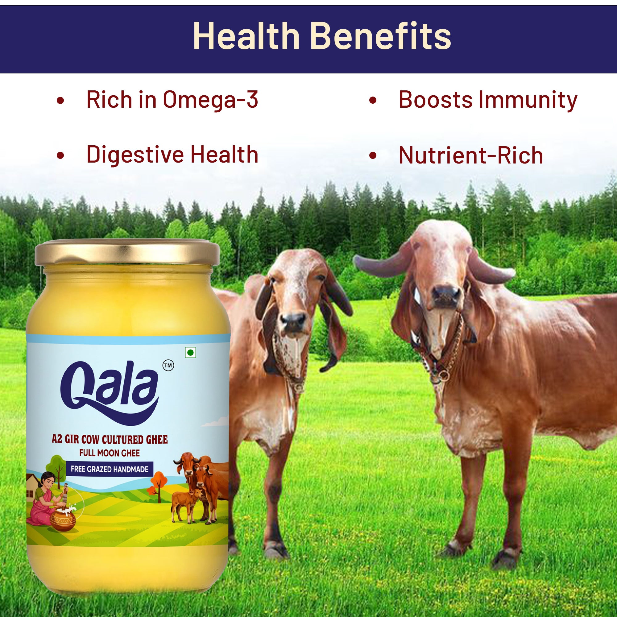A2 Gir Cow Cultured Ghee 1 Ltr