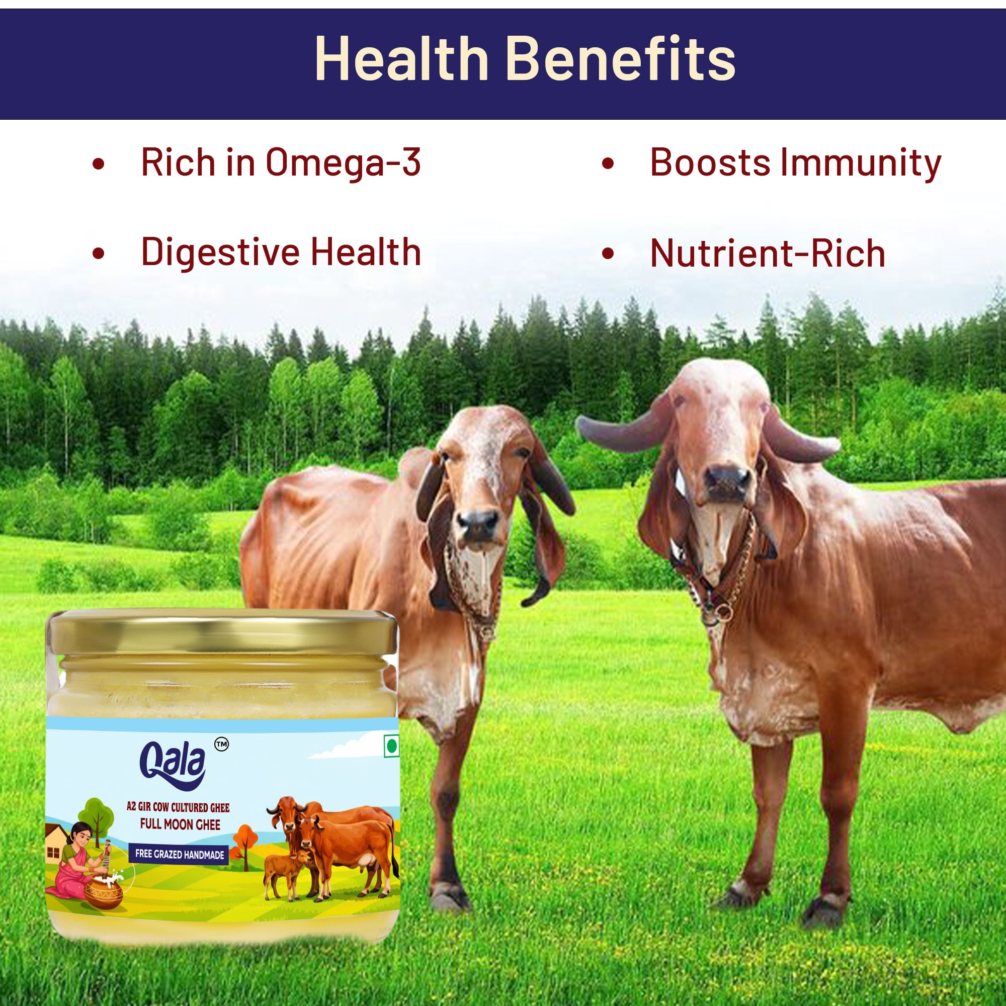 A2 Gir Cow Cultured Ghee 250 ml