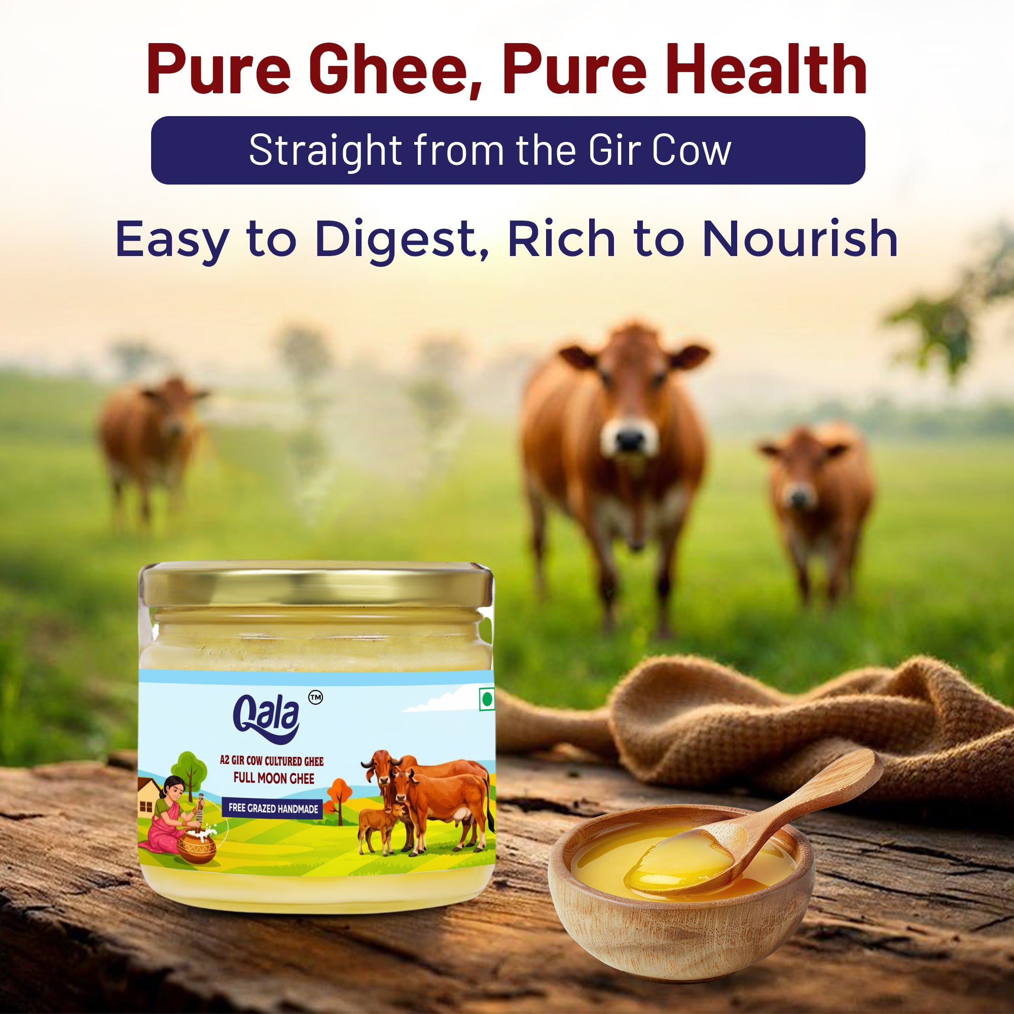 A2 Gir Cow Cultured Ghee 250 ml